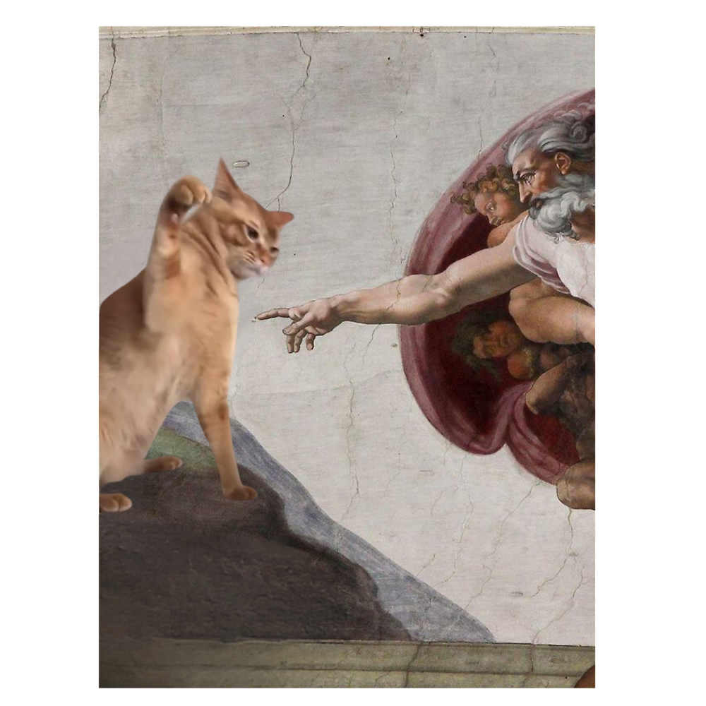 PURRFECT CREATION: And GOD Created Cats Classic T-Shirt - White Fox Boutique