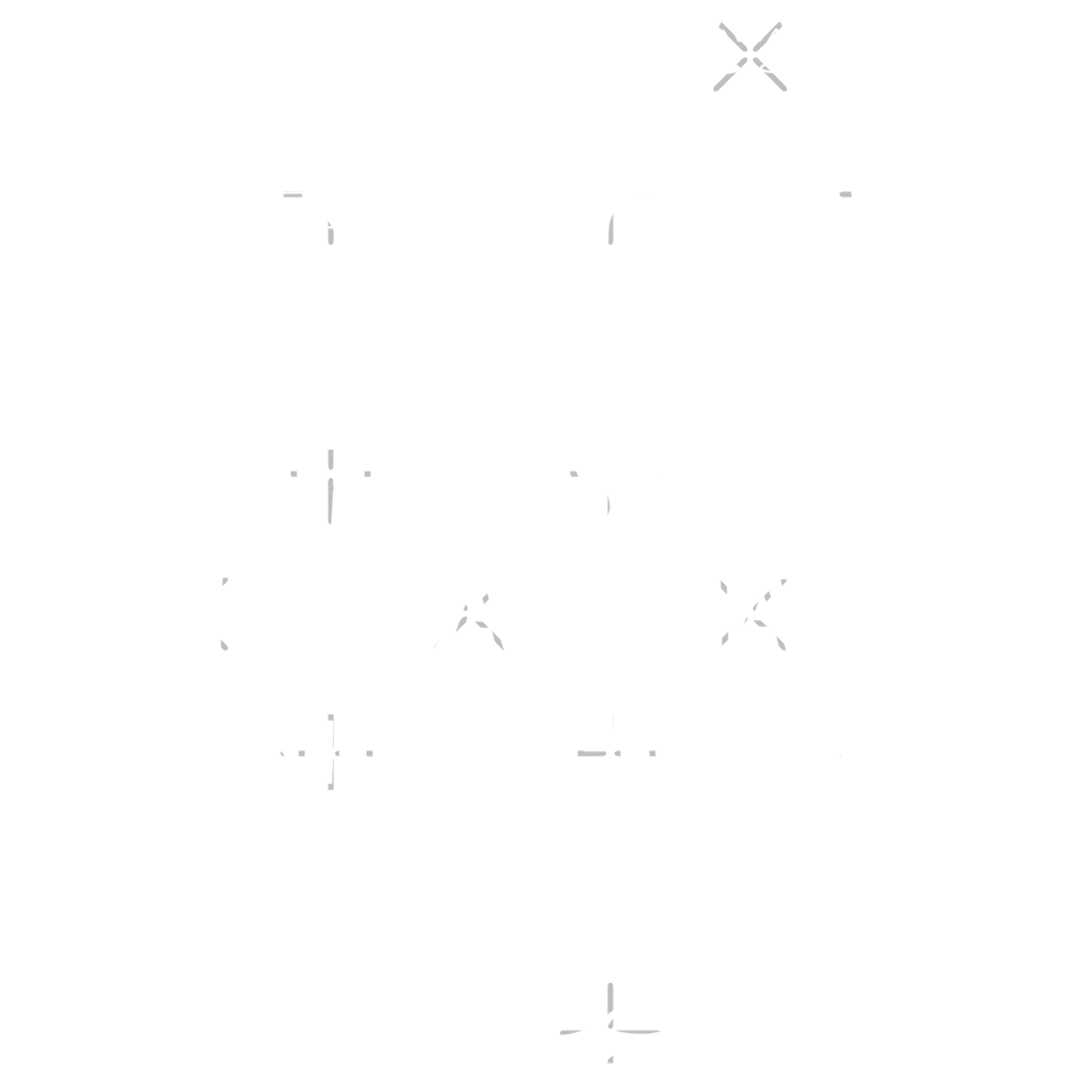 This is Why We Can't Have Nice Things Classic T-Shirt - White Fox Boutique